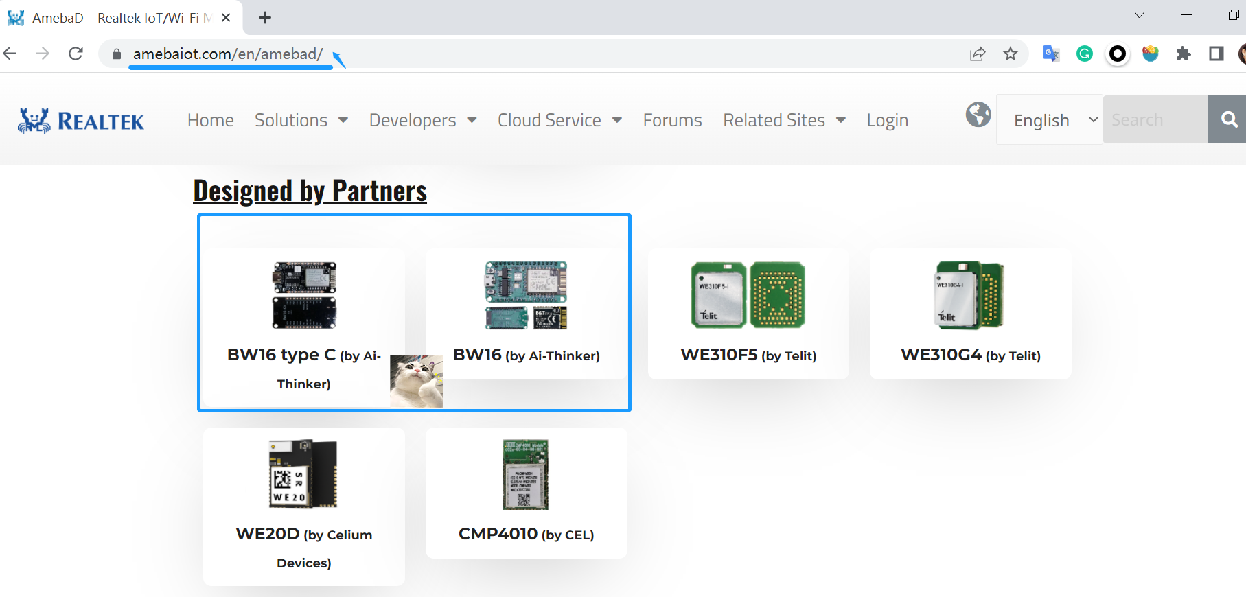 esp32:docs:realtek.png